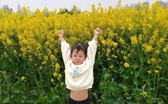 车上玩馊子小说短篇